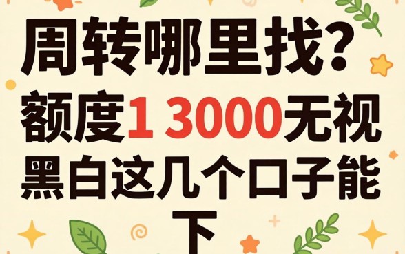 急需周转哪里找？额度1 3000无视黑白这几个口子能下