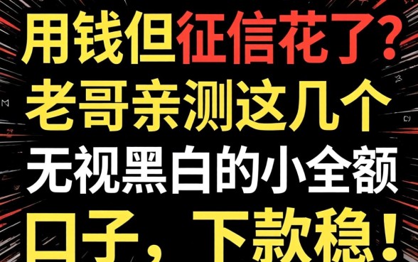 急用钱但征信花了？老哥亲测这几个无视黑白的小额口子，下款稳！