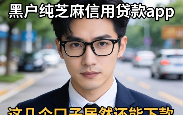 揭秘黑户纯芝麻信用贷款app，这几个口子居然还能下款