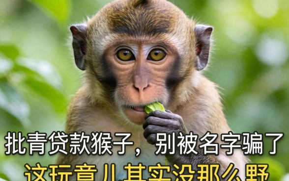 最容易批的贷款猴子：别被名字骗了，这玩意儿其实没那么野