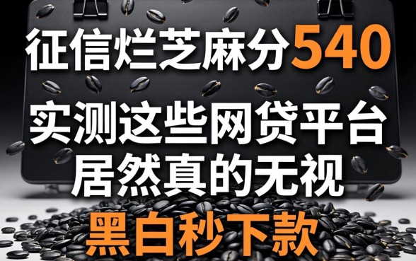 我征信烂芝麻分540，实测这些网贷平台居然真的无视黑白秒下款