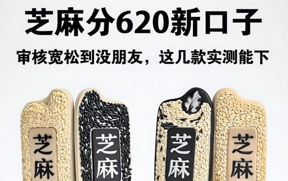 芝麻分620新口子：审核宽松到没朋友，这几款实测能下