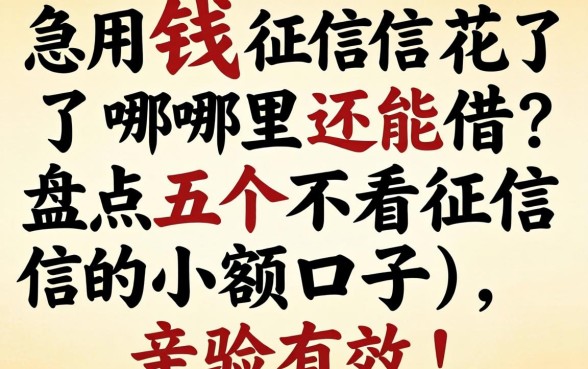 急用钱征信花了哪里还能借？盘点五个不看征信的小额口子，亲测有效！