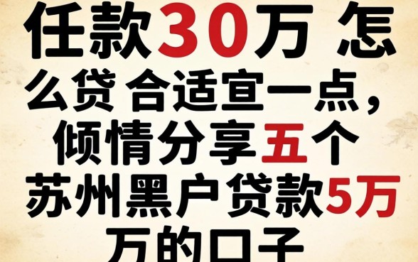 贷款30万怎么贷合适一点，倾情分享五个苏州黑户贷款5万的口子