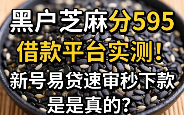 黑户芝麻分595借款平台实测，新号易贷速审秒下款是真的吗