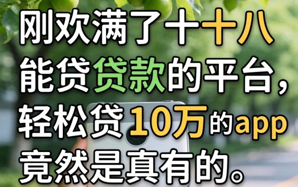 我试了刚满十八能贷款的平台,轻松贷10万的app竟然是真的