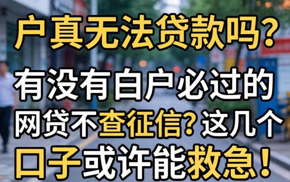白户真的无法贷款吗？有没有白户必过的网贷不查征信？这几个口子或许能救急！