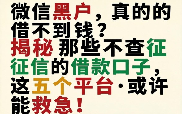 微信黑户真的借不到钱？揭秘那些不查征信的借款口子，这五个平台或许能救急！