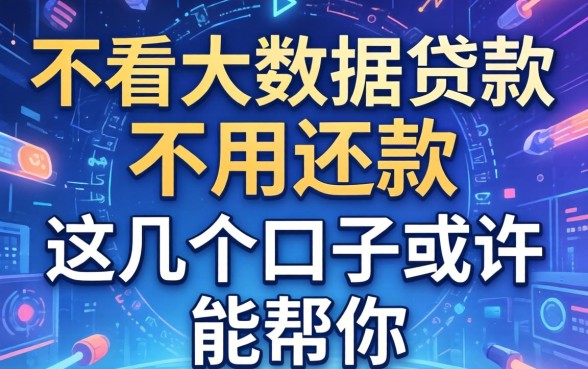 揭秘不看大数据贷款不用还款，这几个口子或许能帮你