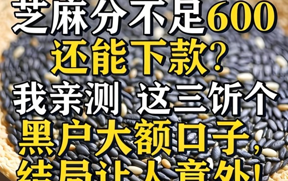 芝麻分不足600还能下款？我亲测这几个黑户大额口子，结局让人意外