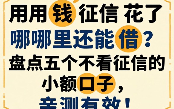 急用钱征信花了哪里还能借？盘点五个不看征信的小额口子，亲测有效！