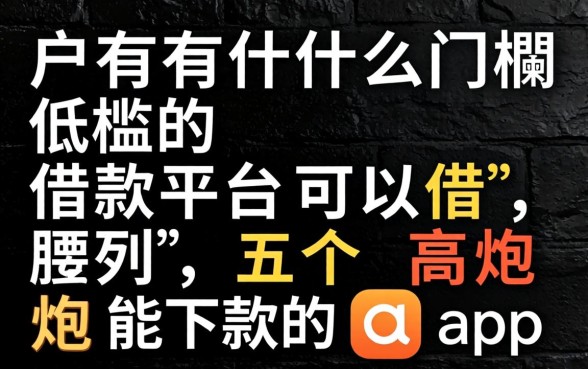 黑户有什么门槛低的借款平台可以借,胪列五个高炮能下款的app