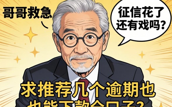 老哥们救急！征信花了还有戏吗？求推荐几个逾期也能下款的口子！