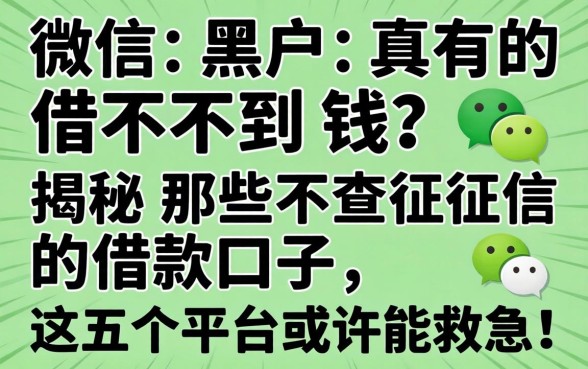 微信黑户真的借不到钱？揭秘那些不查征信的借款口子，这五个平台或许能救急！