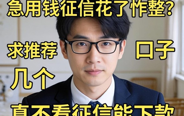 急用钱征信花了咋整?求推荐几个真不看征信能下款的口子!