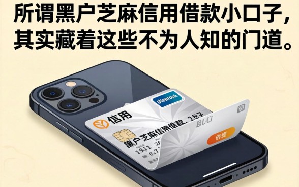 我翻烂了手机才明白,所谓黑户芝麻信用借款小口子,其实藏着这些不为人知的门道