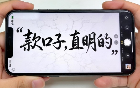 我翻遍了手机也没找到下款口子，直到看清了这行字