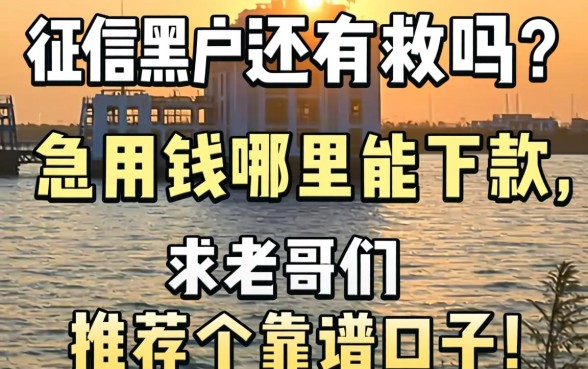 征信黑户还有救吗?急用钱哪里能下款,求老哥们推荐个靠谱口子!