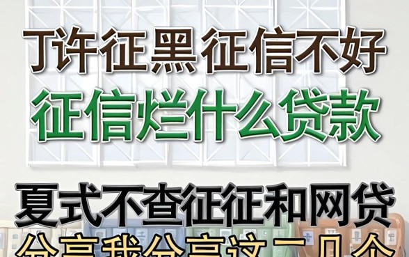 征信黑征信不好征信烂什么贷款不查征信和网贷我分享这几个