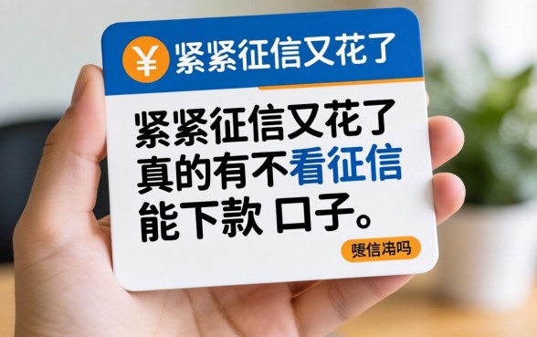手头紧征信又花了，真的有不看征信能下款的口子吗？