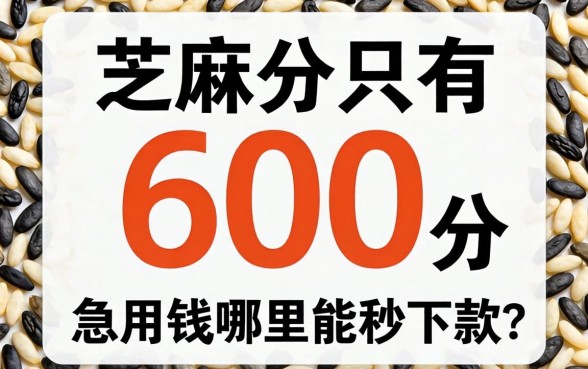 芝麻分只有600分，急用钱哪里能秒下款？求靠谱路子分享！