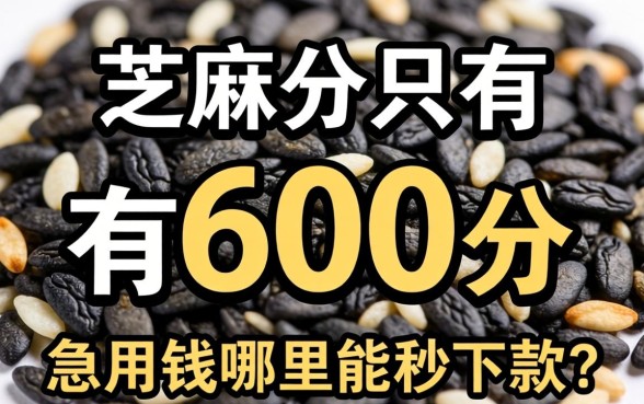 芝麻分只有600分，急用钱哪里能秒下款？求靠谱路子分享！